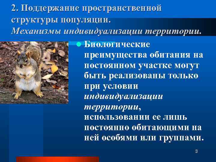 2. Поддержание пространственной структуры популяции. Механизмы индивидуализации территории. l Биологические преимущества обитания на постоянном