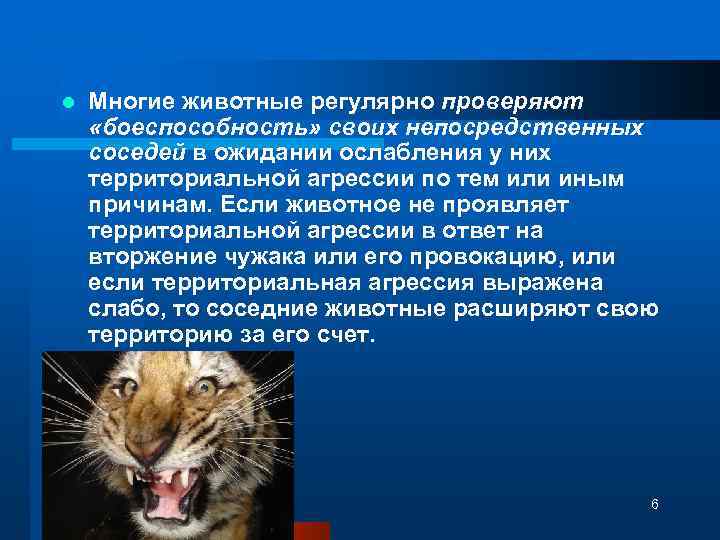 l Многие животные регулярно проверяют «боеспособность» своих непосредственных соседей в ожидании ослабления у них