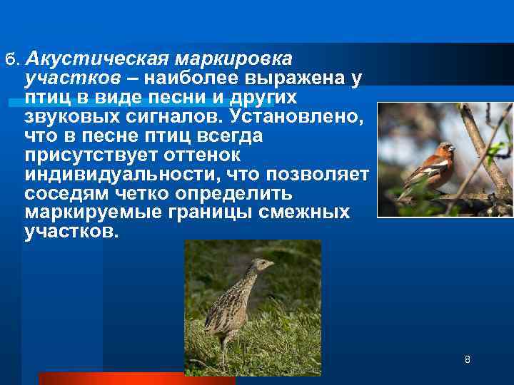 б. Акустическая маркировка участков – наиболее выражена у птиц в виде песни и других