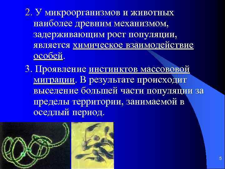 2. У микроорганизмов и животных наиболее древним механизмом, задерживающим рост популяции, является химическое взаимодействие