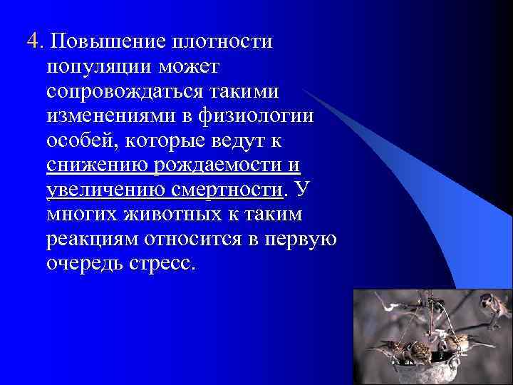 4. Повышение плотности популяции может сопровождаться такими изменениями в физиологии особей, которые ведут к