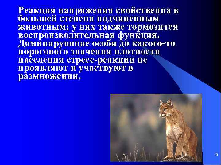 Реакция напряжения свойственна в большей степени подчиненным животным; у них также тормозится воспроизводительная функция.