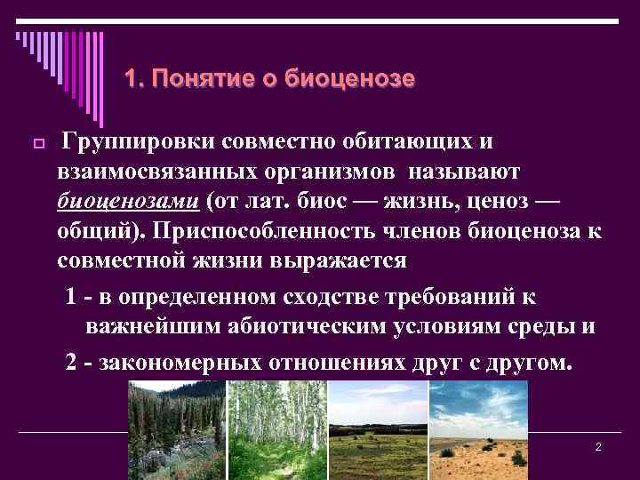 1. Понятие о биоценозе o Группировки совместно обитающих и взаимосвязанных организмов называют биоценозами (от