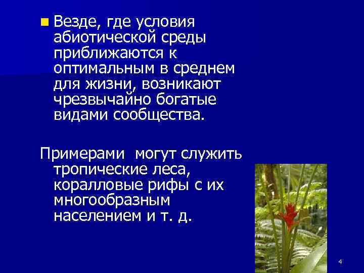 n Везде, где условия абиотической среды приближаются к оптимальным в среднем для жизни, возникают