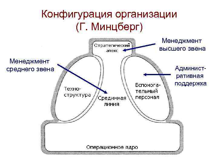 Конфигурация организации (Г. Минцберг) Менеджмент высшего звена Менеджмент среднего звена Административная поддержка 