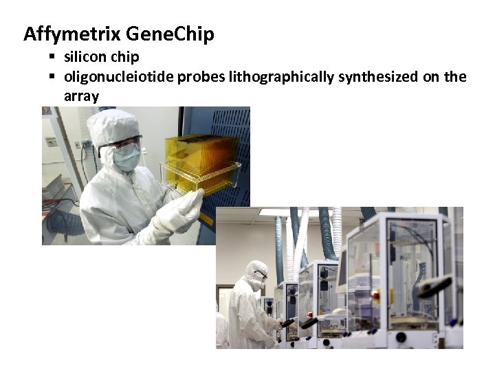 Affymetrix Gene. Chip § silicon chip § oligonucleiotide probes lithographically synthesized on the array