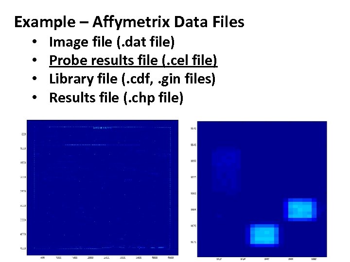 Example – Affymetrix Data Files • • Image file (. dat file) Probe results