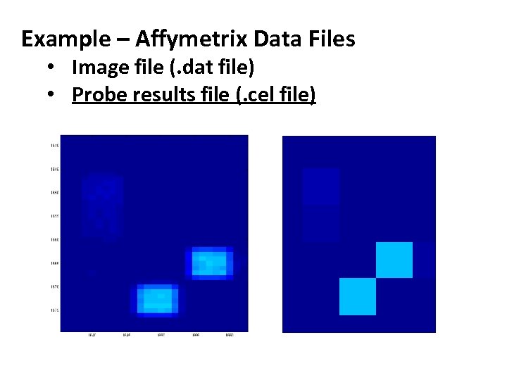 Example – Affymetrix Data Files • Image file (. dat file) • Probe results