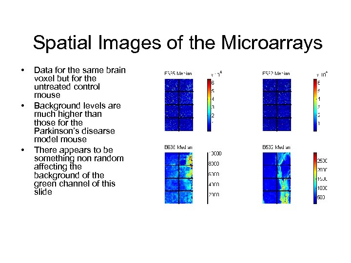 Spatial Images of the Microarrays • • • Data for the same brain voxel