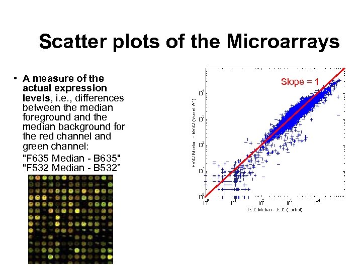 Scatter plots of the Microarrays • A measure of the actual expression levels, i.