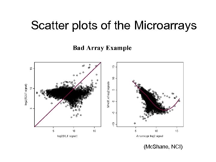 Scatter plots of the Microarrays (Mc. Shane, NCI) 