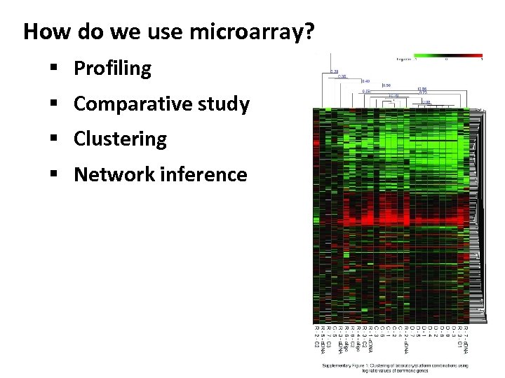 How do we use microarray? § Profiling § Comparative study § Clustering § Network
