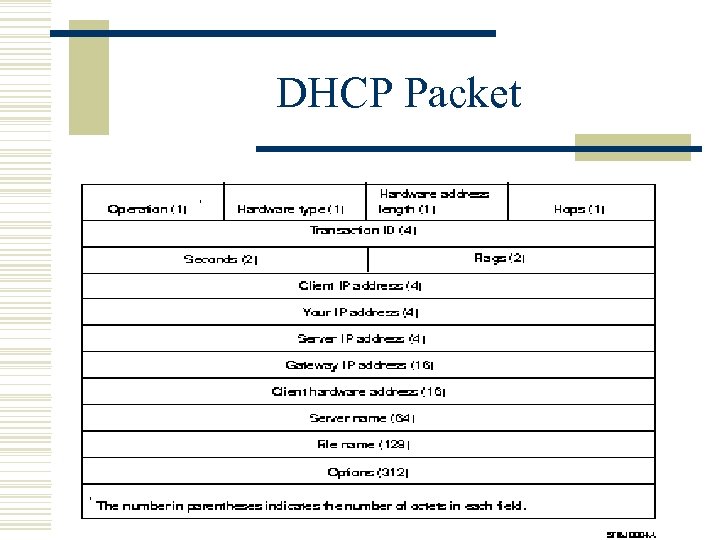 DHCP Packet 