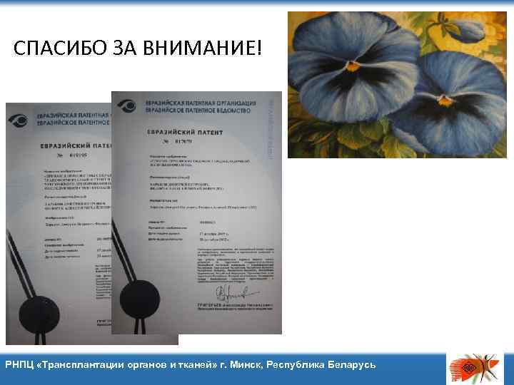 СПАСИБО ЗА ВНИМАНИЕ! РНПЦ «Трансплантации органов и тканей» г. Минск, Республика Беларусь 