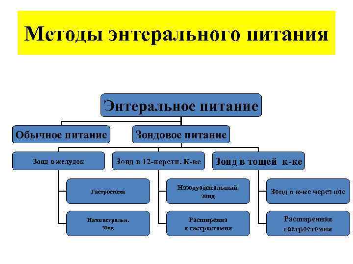 Методы энтерального питания Энтеральное питание Обычное питание Зонд в желудок Зондовое питание Зонд в