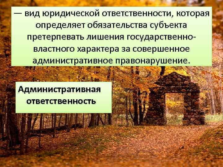— вид юридической ответственности, которая определяет обязательства субъекта претерпевать лишения государственновластного характера за совершенное