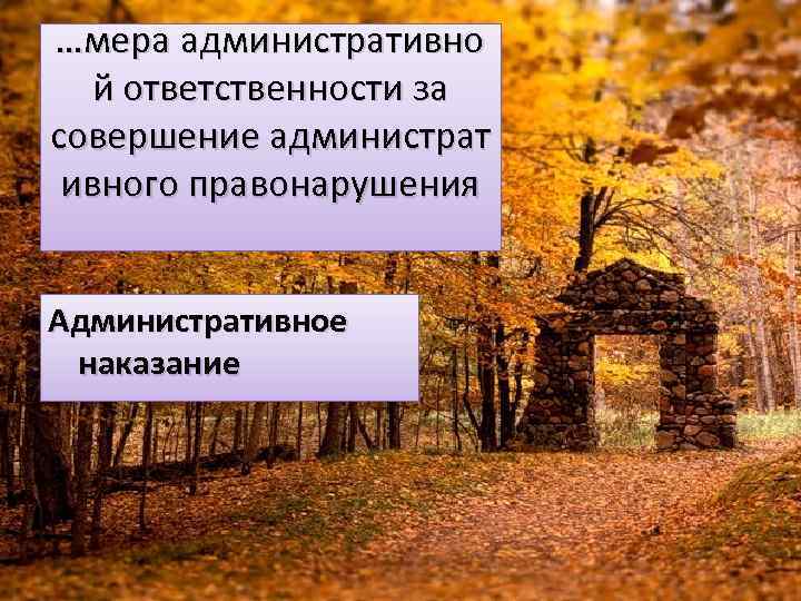 …мера административно й ответственности за совершение администрат ивного правонарушения Административное наказание 