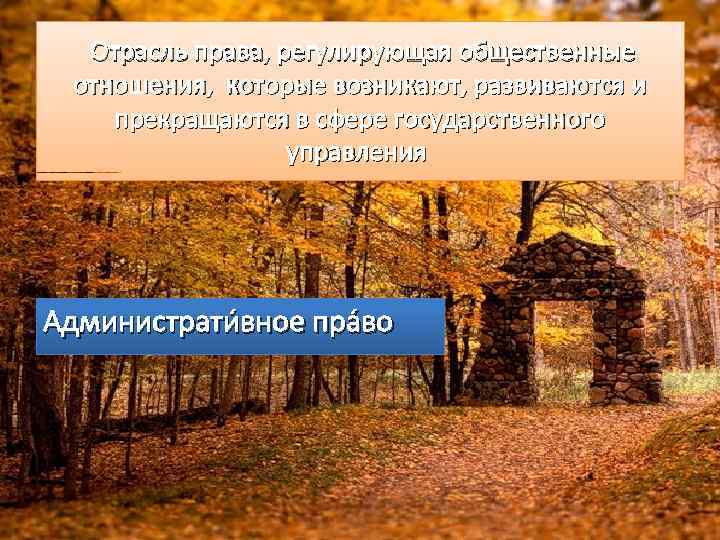  Отрасль права, регулирующая общественные отношения, которые возникают, развиваются и прекращаются в сфере государственного