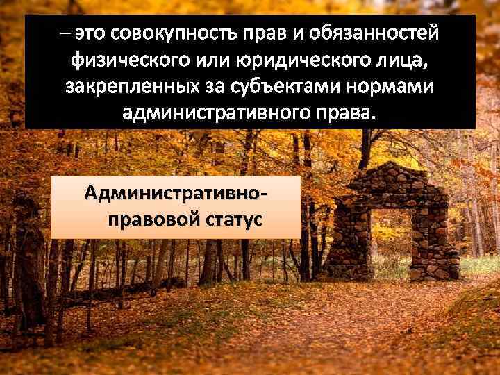 – это совокупность прав и обязанностей физического или юридического лица, закрепленных за субъектами нормами