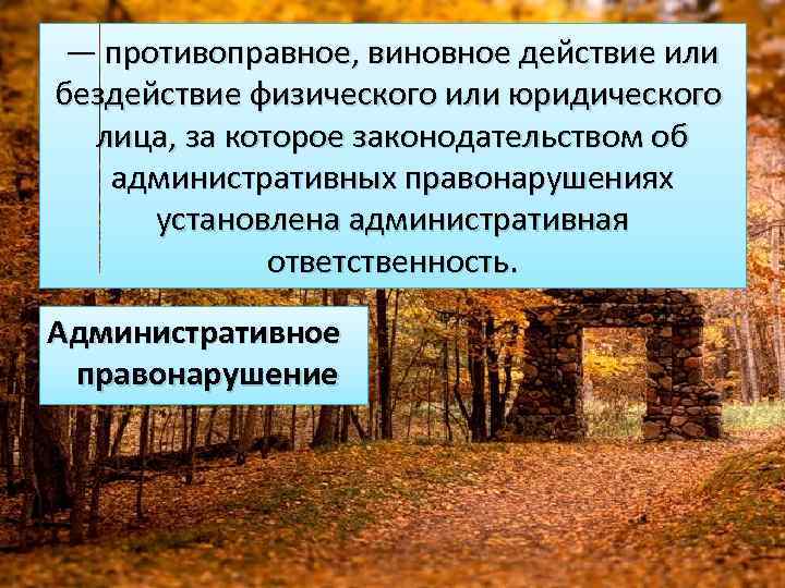 — противоправное, виновное действие или бездействие физического или юридического лица, за которое законодательством об