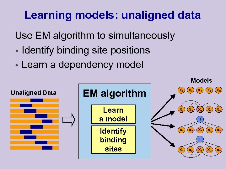 Learning models: unaligned data Use EM algorithm to simultaneously w Identify binding site positions