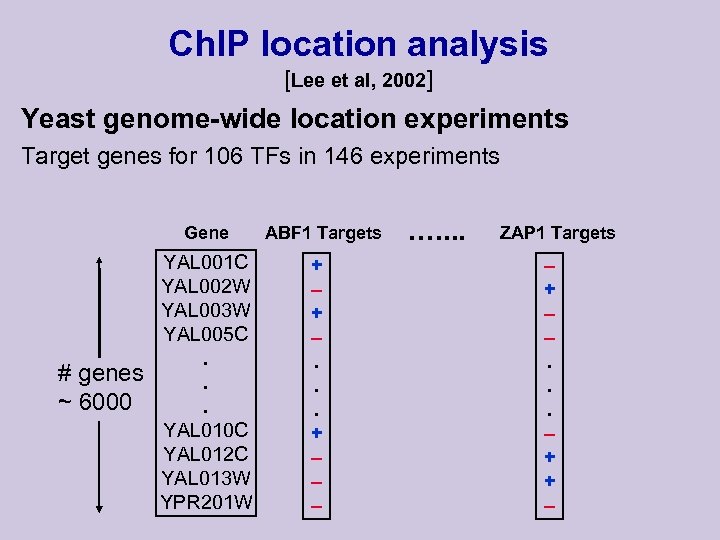 Ch. IP location analysis [Lee et al, 2002] Yeast genome-wide location experiments Target genes