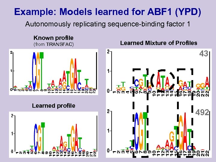 Example: Models learned for ABF 1 (YPD) Autonomously replicating sequence-binding factor 1 Known profile