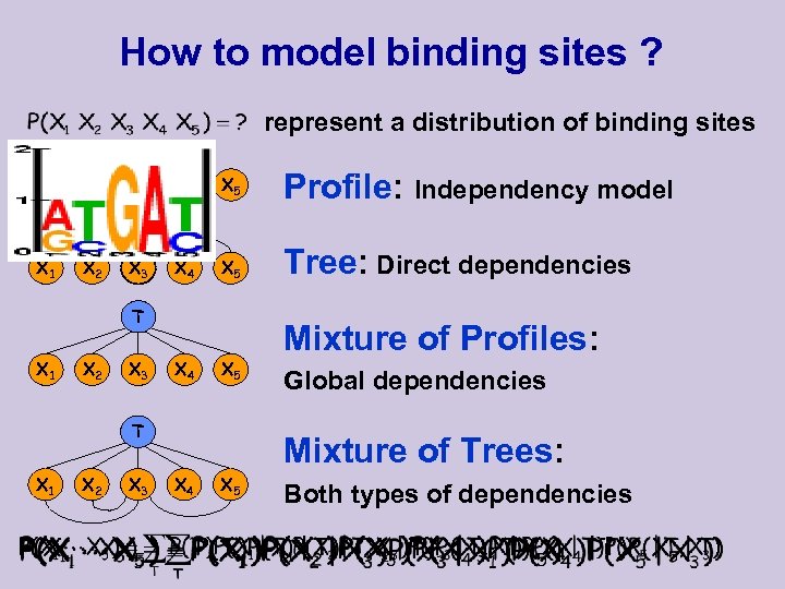 How to model binding sites ? represent a distribution of binding sites X 1