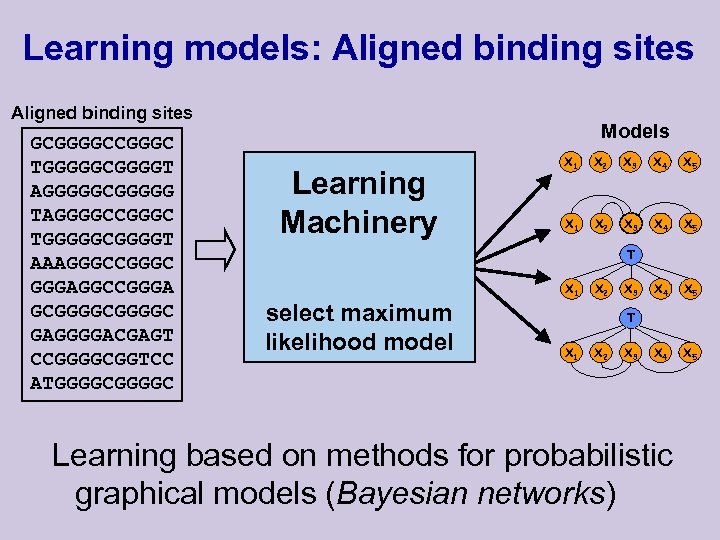 Learning models: Aligned binding sites GCGGGGCCGGGC TGGGGGCGGGGT AGGGGGCGGGGG TAGGGGCCGGGC TGGGGGCGGGGT AAAGGGCCGGGC GGGAGGCCGGGA GCGGGGC GAGGGGACGAGT