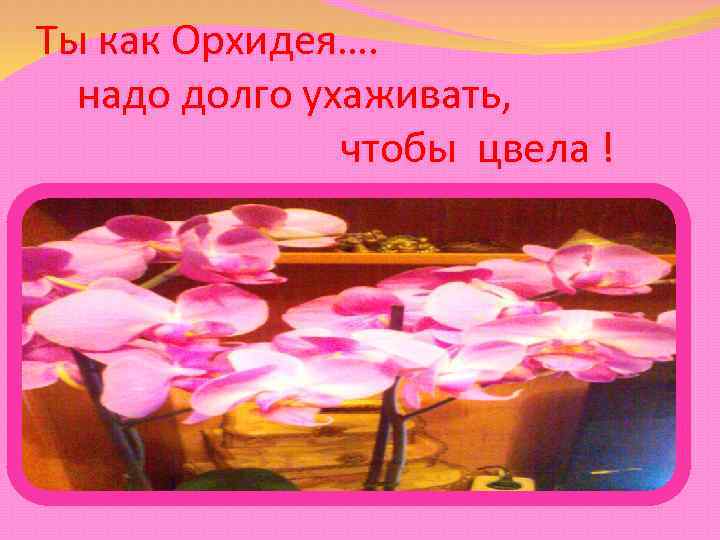 Ты как Орхидея…. надо долго ухаживать, чтобы цвела ! 
