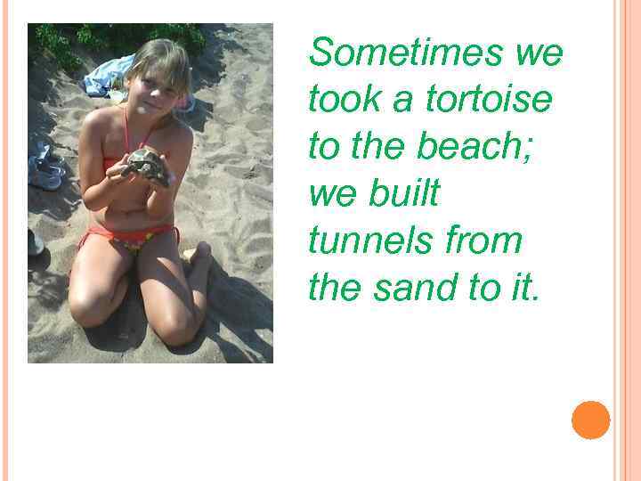 Sometimes we took a tortoise to the beach; we built tunnels from the sand