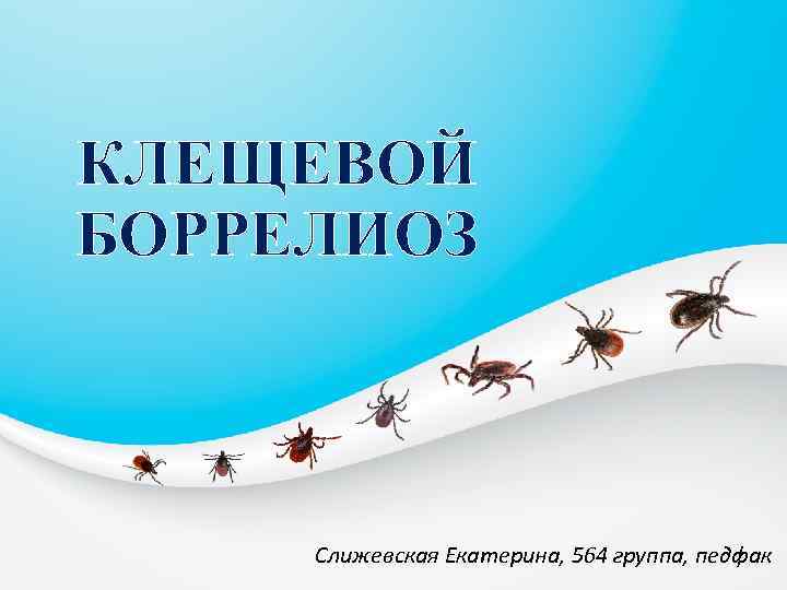 КЛЕЩЕВОЙ БОРРЕЛИОЗ Слижевская Екатерина, 564 группа, педфак 