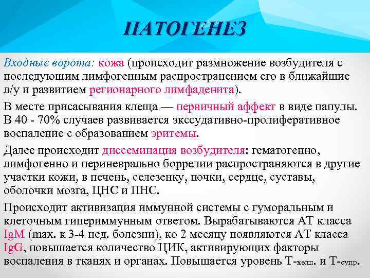 ПАТОГЕНЕЗ Входные ворота: кожа (происходит размножение возбудителя с последующим лимфогенным распространением его в ближайшие