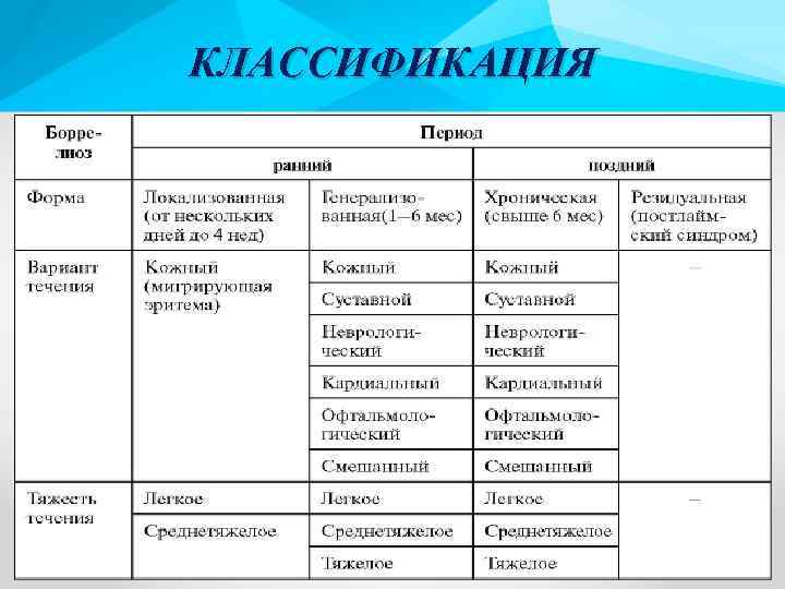КЛАССИФИКАЦИЯ 