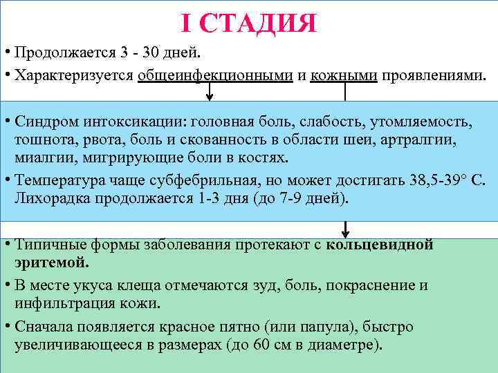 I СТАДИЯ • Продолжается 3 - 30 дней. • Характеризуется общеинфекционными и кожными проявлениями.