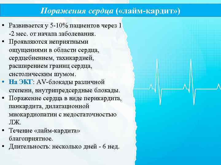Поражения сердца ( «лайм-кардит» ) • Развивается у 5 -10% пациентов через 1 -2