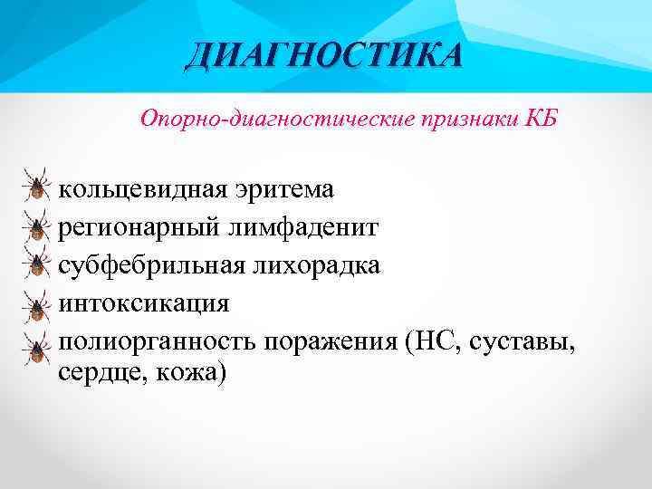 ДИАГНОСТИКА Опорно-диагностические признаки КБ кольцевидная эритема регионарный лимфаденит субфебрильная лихорадка интоксикация полиорганность поражения (НС,