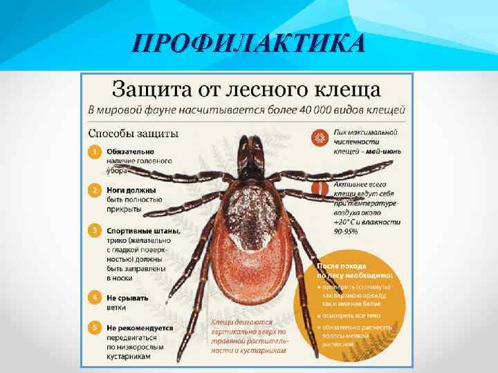 ПРОФИЛАКТИКА 