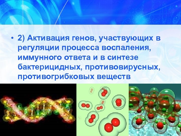  • 2) Активация генов, участвующих в регуляции процесса воспаления, иммунного ответа и в