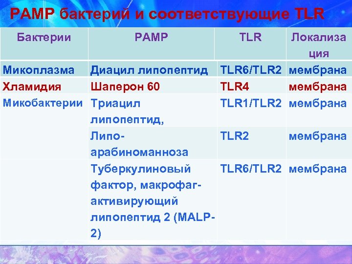 PAMP бактерий и соответствующие TLR Бактерии PAMP TLR Локализа ция Микоплазма Диацил липопептид TLR