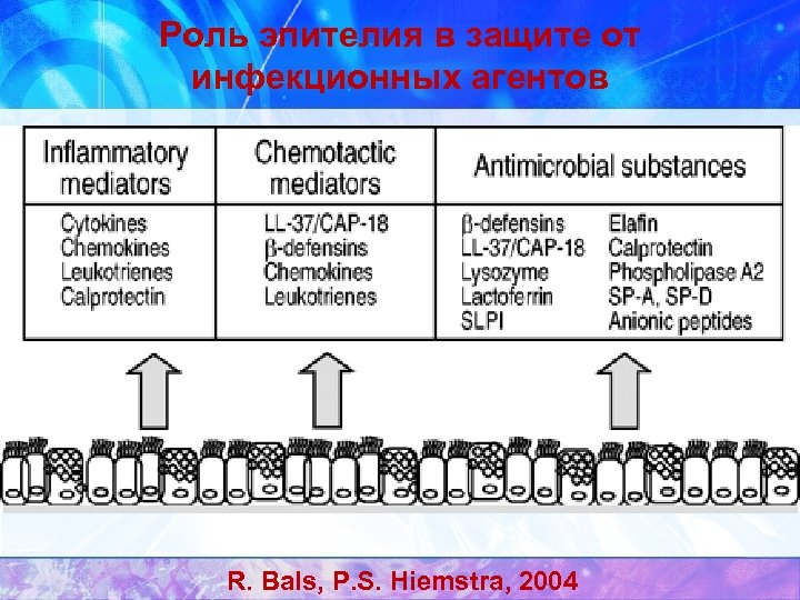 Роль эпителия в защите от инфекционных агентов R. Bals, P. S. Hiemstra, 2004 