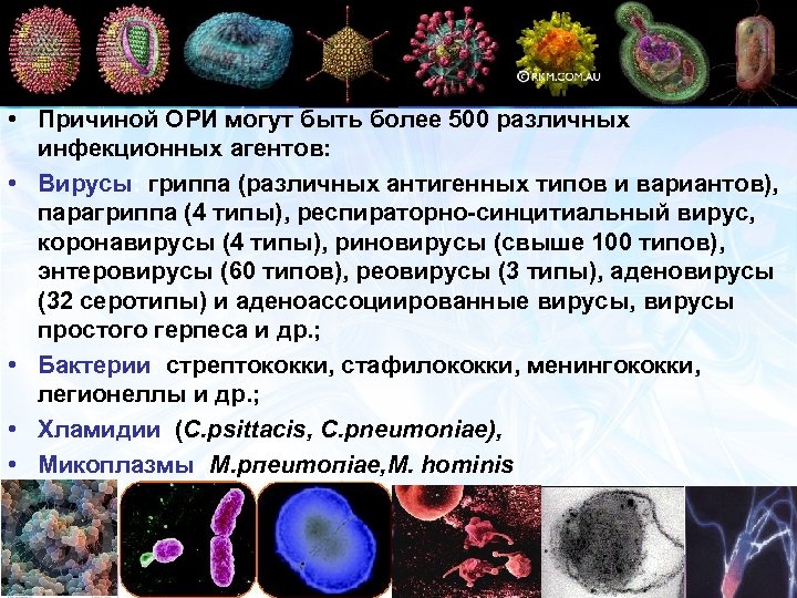 Парагрипп микробиология. Синцитиальный вирус микробиология. Вирус парагриппа. Респираторно-синцитиальный вирус. Парагрипп возбудитель.