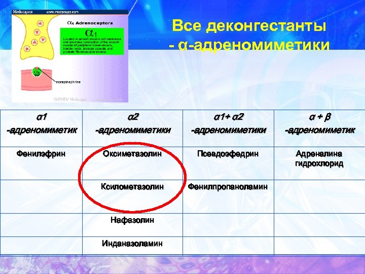 Все деконгестанты - α-адреномиметики α 1 -адреномиметик α 2 -адреномиметики α 1+ α 2