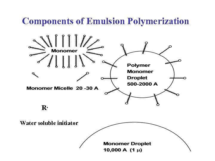 Components of Emulsion Polymerization R. Water soluble initiator 