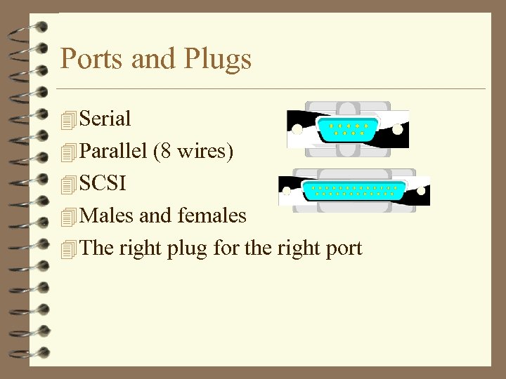 Ports and Plugs 4 Serial 4 Parallel (8 wires) 4 SCSI 4 Males and