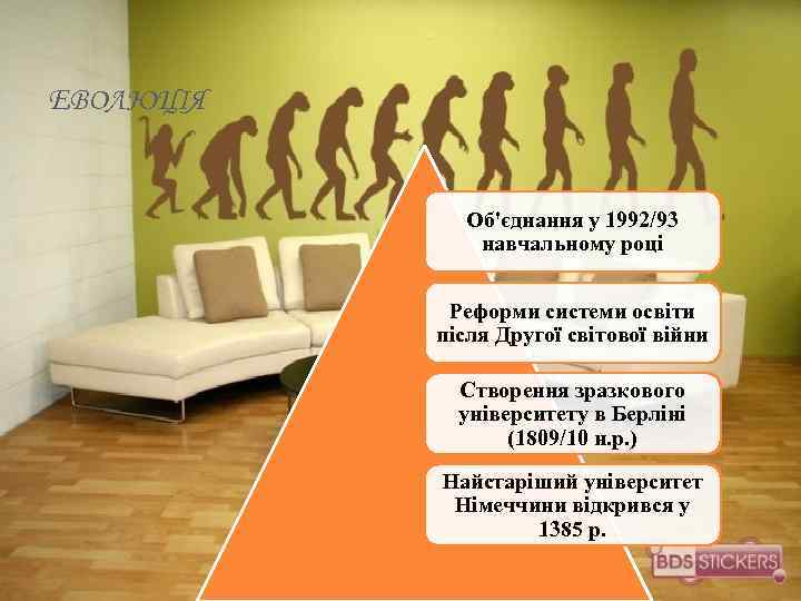 ЕВОЛЮЦІЯ Об'єднання у 1992/93 навчальному році Реформи системи освіти після Другої світової війни Створення