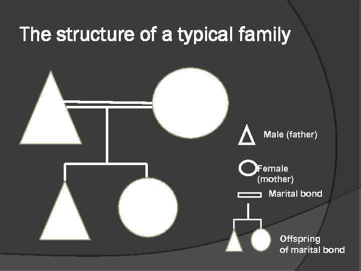 The structure of a typical family Male (father) Female (mother) Marital bond Offspring of