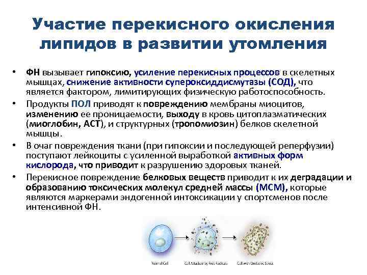 Схема участия усиленного перекисного окисления липидов в развитии патологии нейронов