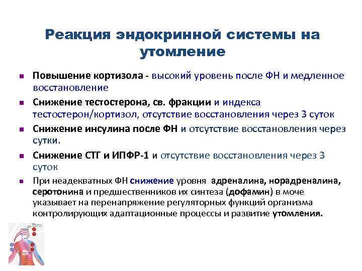 Реакция эндокринной системы на утомление n n n Повышение кортизола - высокий уровень после