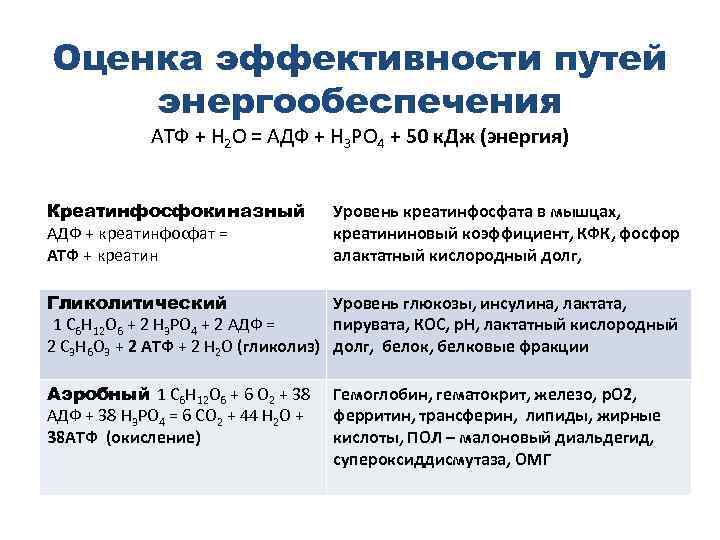 Оценка эффективности путей энергообеспечения АТФ + H 2 O = АДФ + H 3